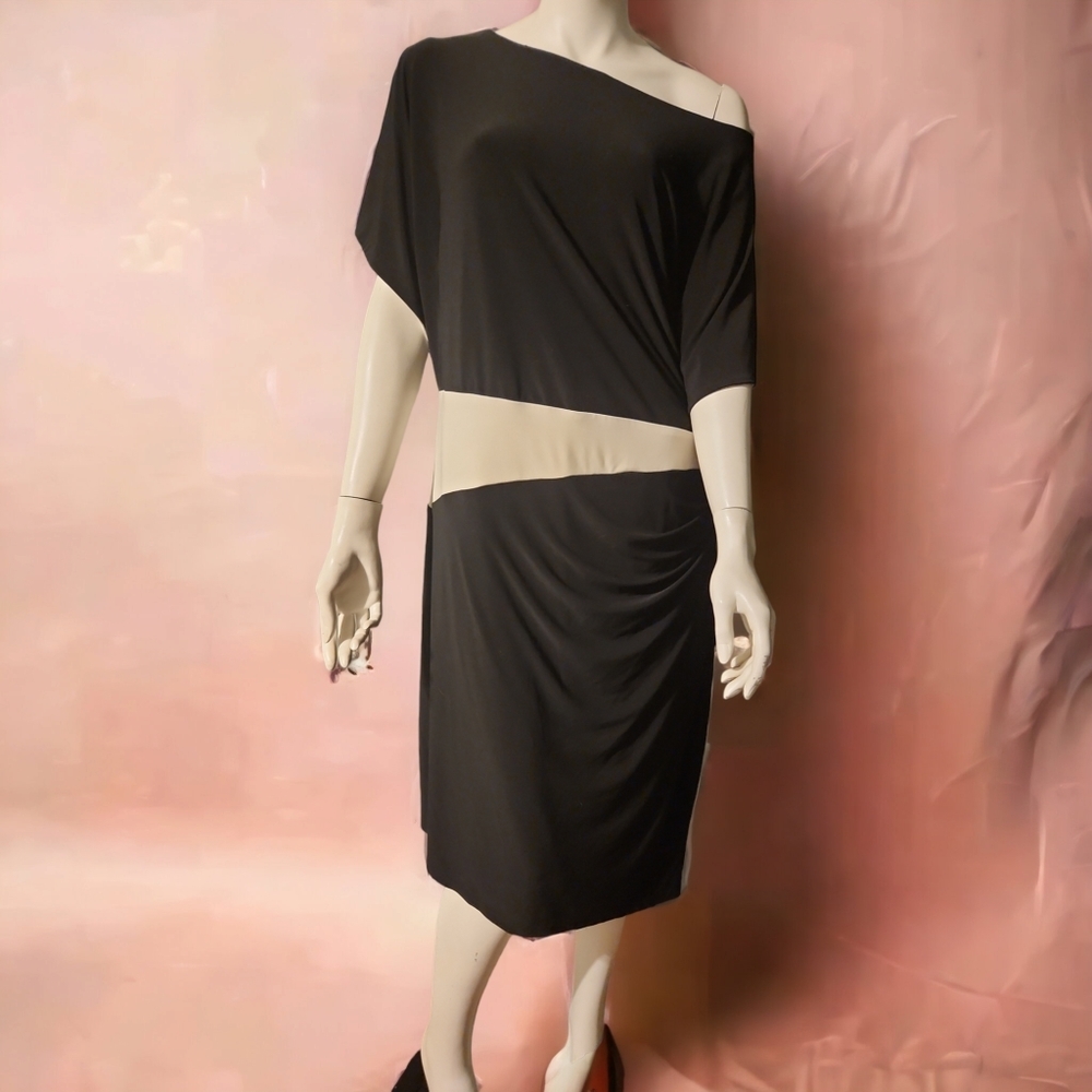 Ralph Lauren plus size color block dress